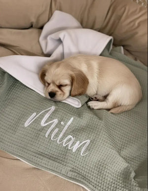 Hundedecke aus weißem Fleece, personalisierbar in Wunschfarben, weiche Sofadecke für Hunde, von Mein Shop