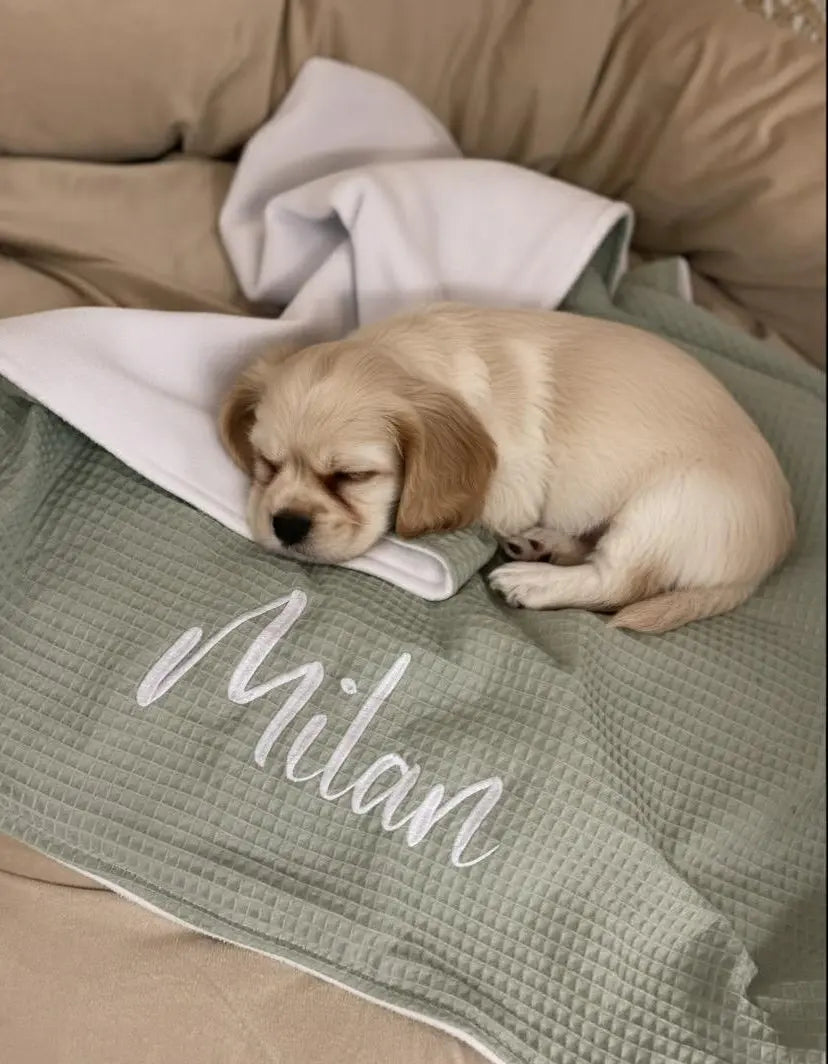 Hundedecke aus weißem Fleece, personalisierbar in Wunschfarben, weiche Sofadecke für Hunde, von Mein Shop