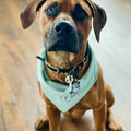 Personalisiertes Hundehalsband aus Musselin mit Namensstickerei, weiches und stilvolles Accessoire für Hunde.